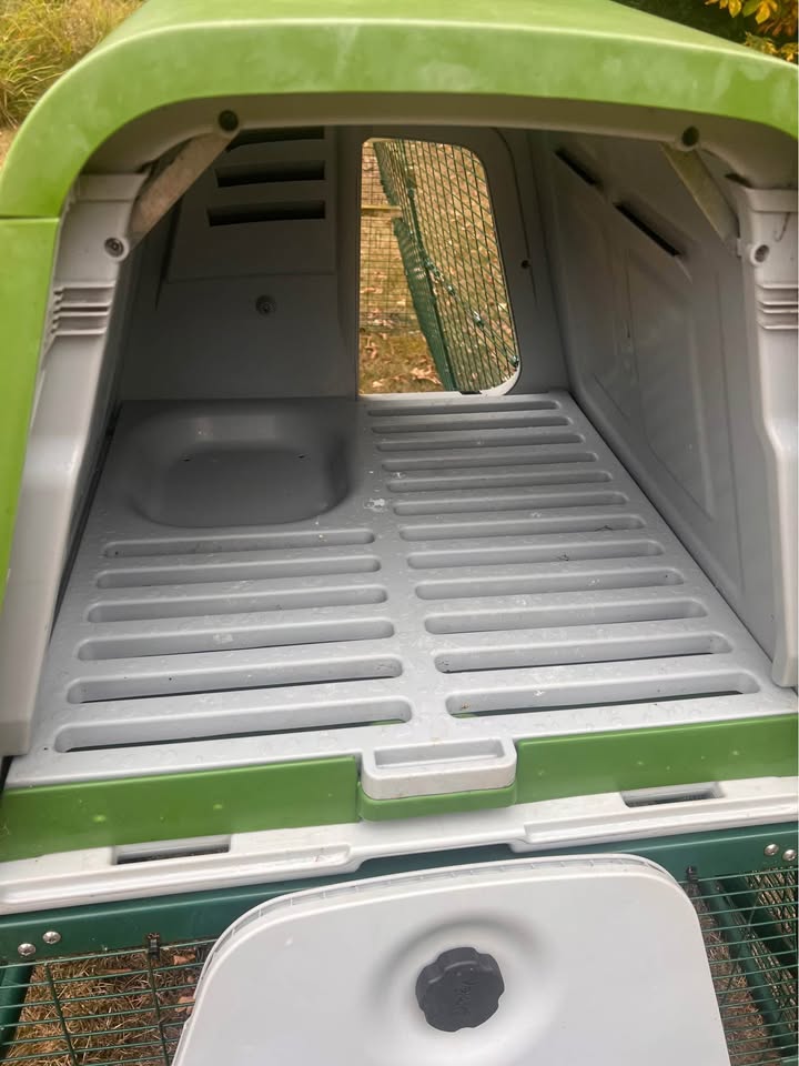 Eglu Go Up For Sale Interior Photo