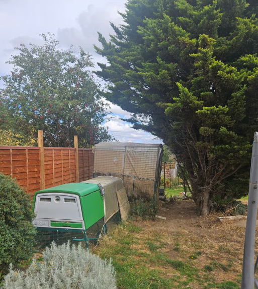 Used Eglu Chicken Coop in a Garden in Halesowen